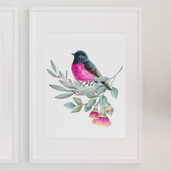Pink Robin Bird Wall Art Watercolor Illustration Print Poster Card Unframed - Picture 3 of 7